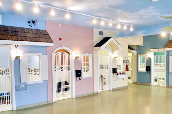 pensiune-lux-caini-oradea-interior