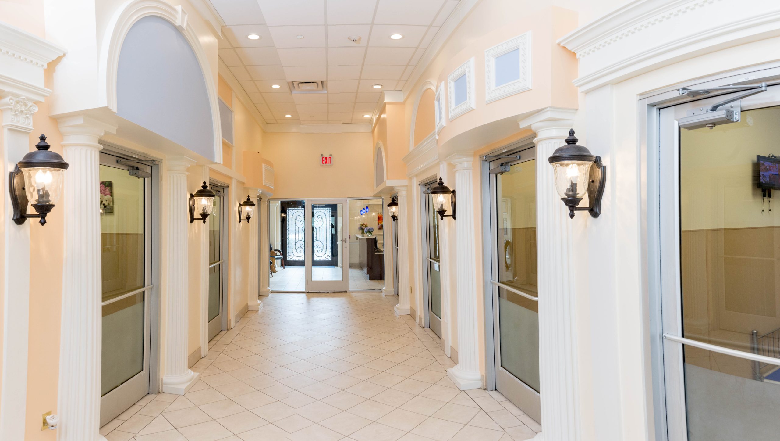 Pensiune de încredere câini