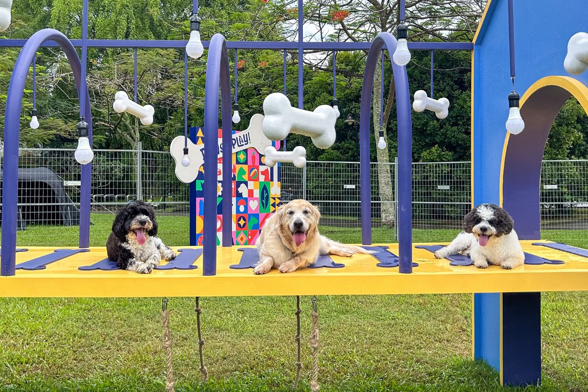 Spatiu de joaca extern